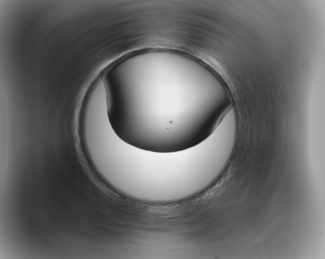 X0000089751128200707201917