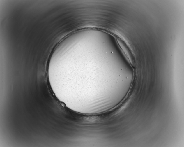 X0000089751129200707201917