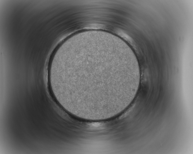 X0000089751130200707201917