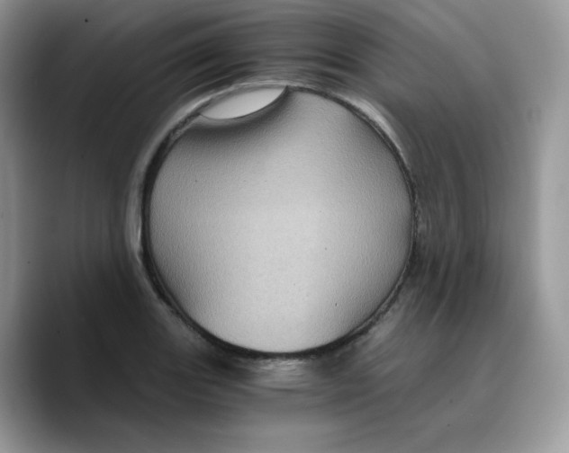 X0000089751131200707201917