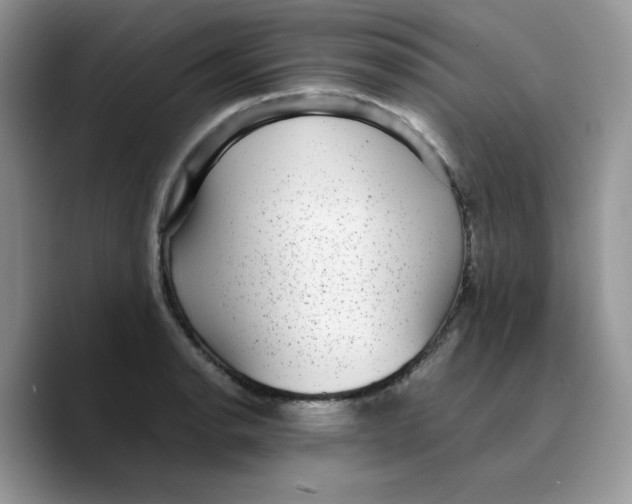 X0000089751134200707201917