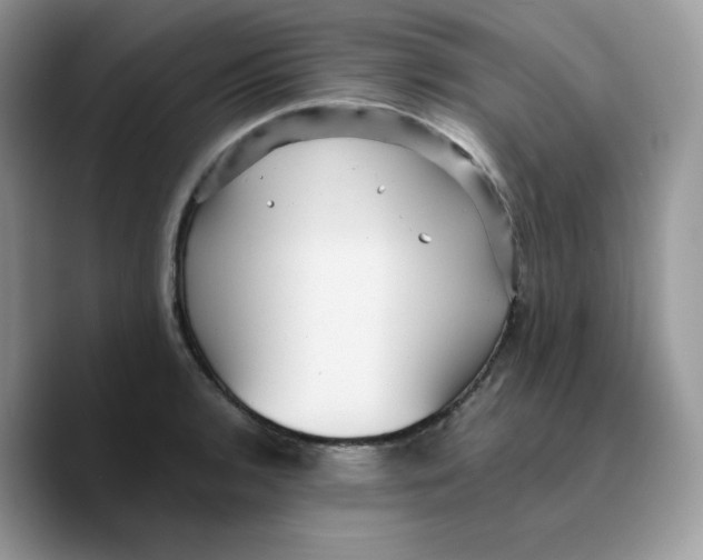 X0000089751136200707201917