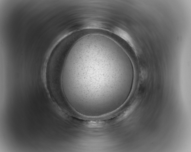 X0000089751138200707201917