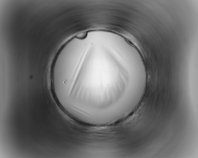 X0000089751143200707201917