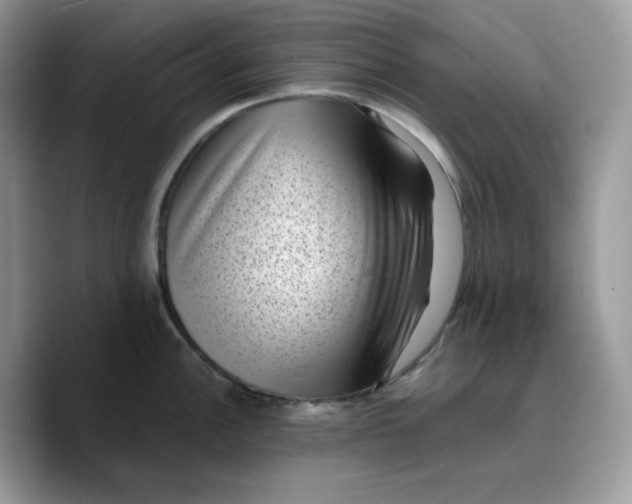 X0000089751148200707201917