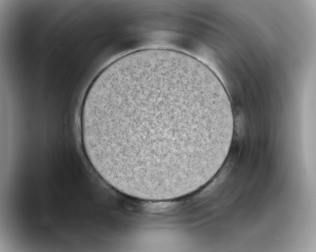 X0000089751150200707201917