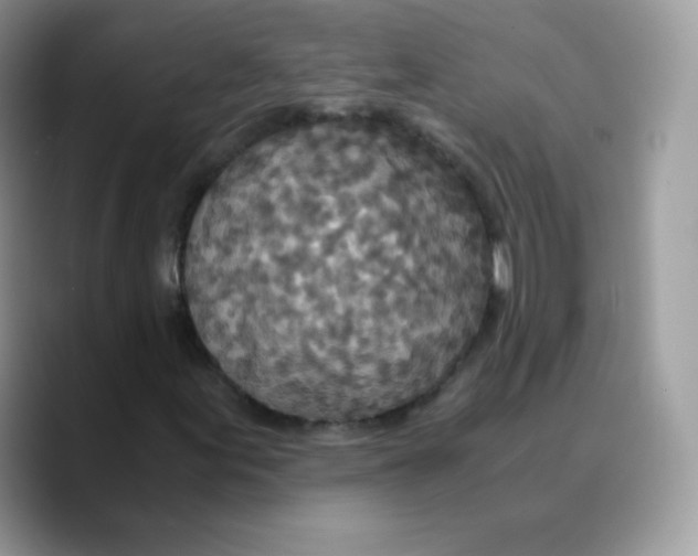 X0000089751155200707201916