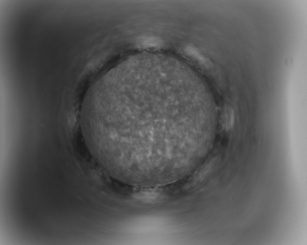 X0000089751157200707201916