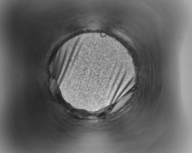 X0000089751160200707201916