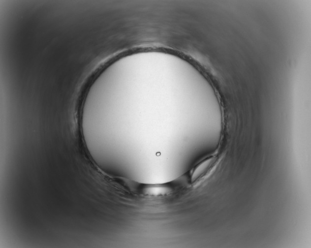 X0000089751167200707201916