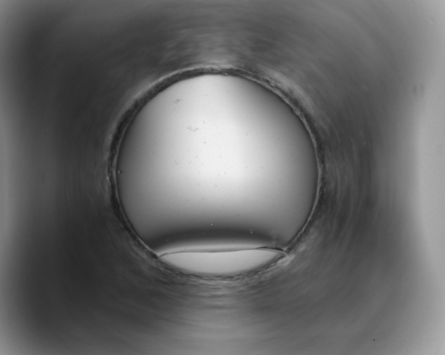 X0000089751168200707201916