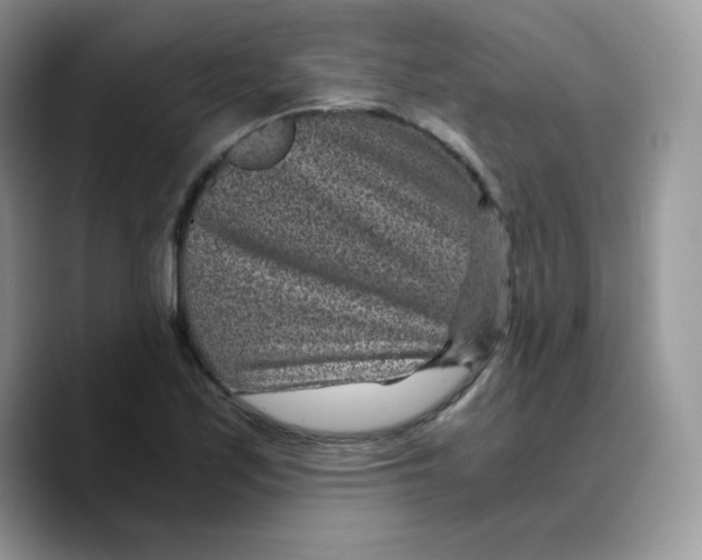 X0000089751171200707201916