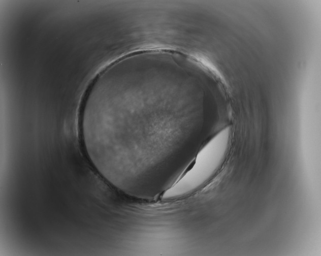 X0000089751173200707201916