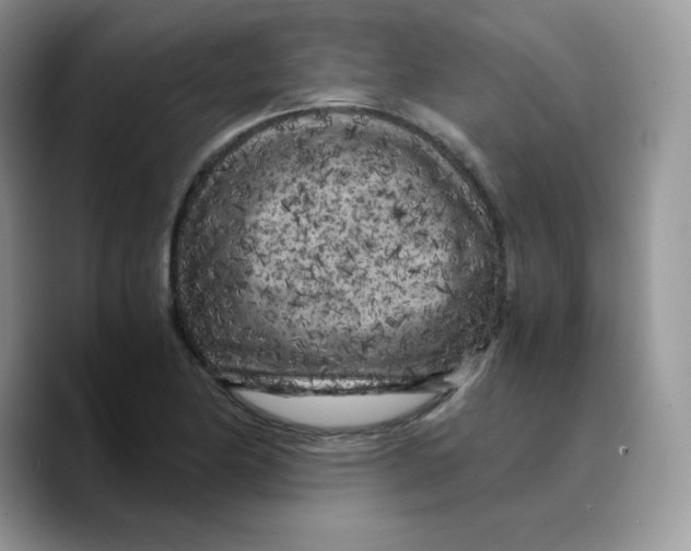 X0000089751174200707201916