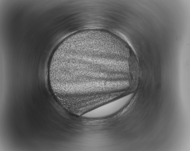 X0000089751179200707201916