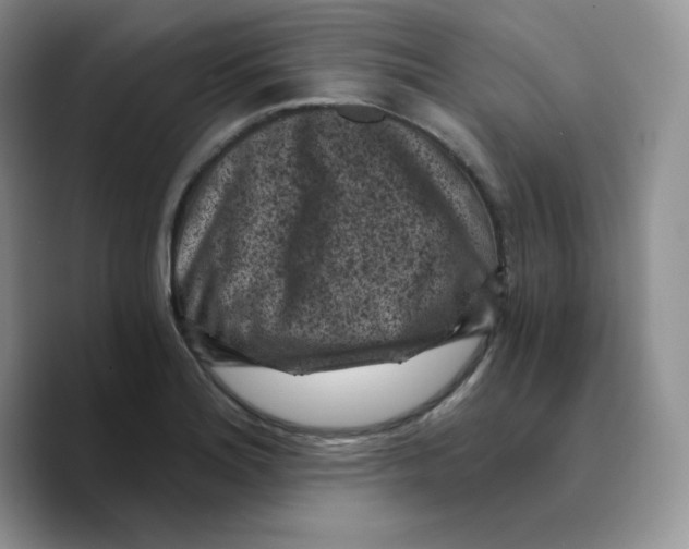 X0000089751180200707201916