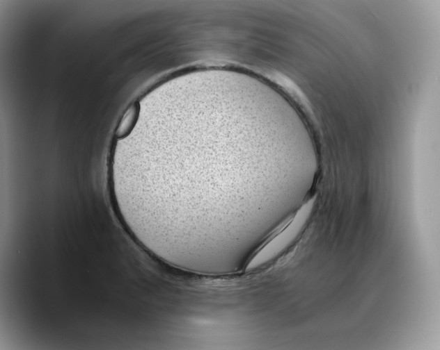 X0000089751183200707201916