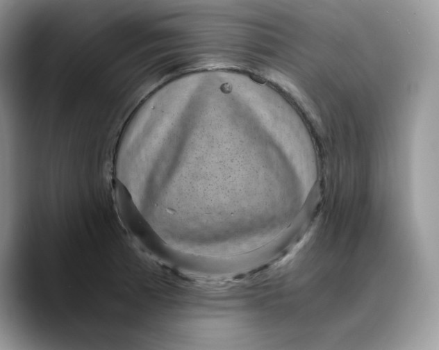 X0000089751185200707201916