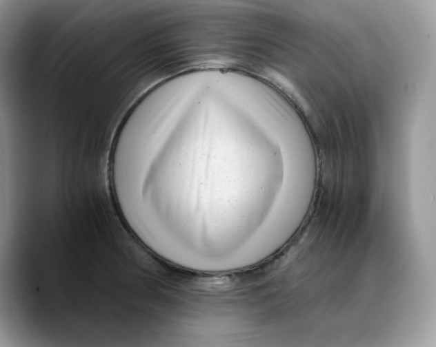 X0000089751186200707201916