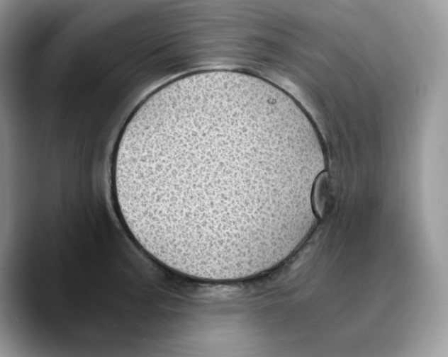 X0000089751187200707201916