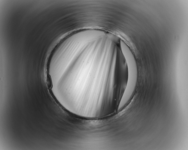 X0000089751188200707201916