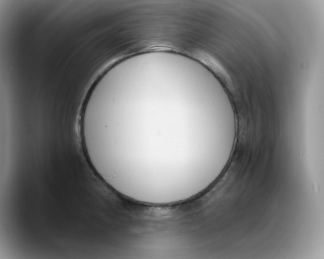 X0000089751190200707201916