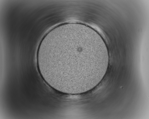 X0000089751191200707201916