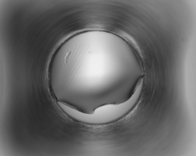 X0000089751192200707201916