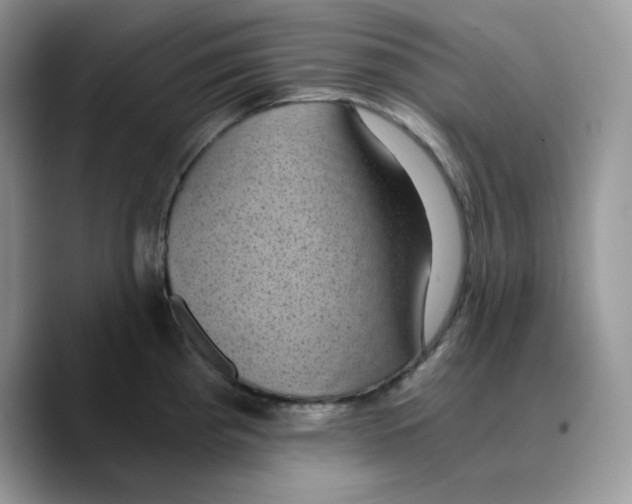 X0000089751193200707201916