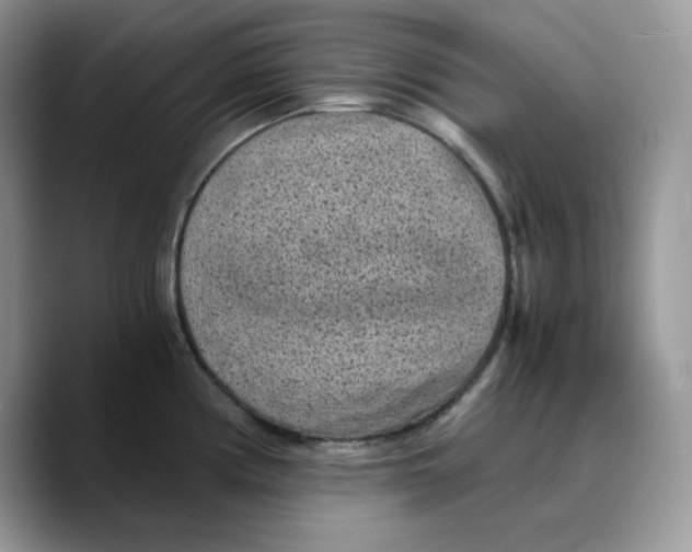 X0000089751194200707201916