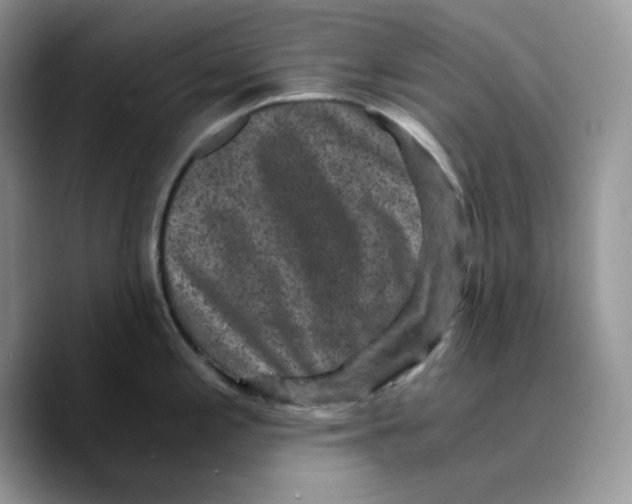 X0000089751197200707201916