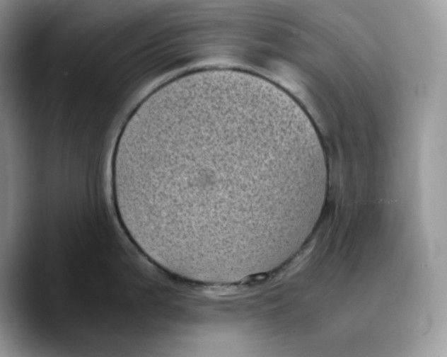 X0000089751199200707201916