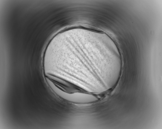 X0000089751200200707201916