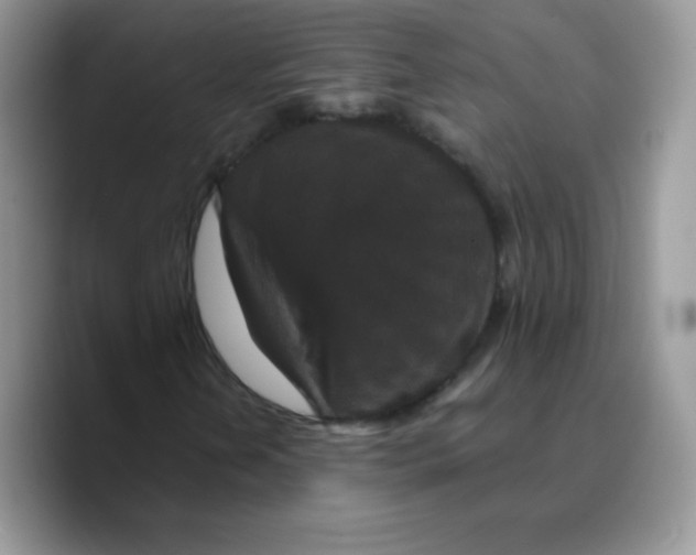 X0000089751202200707201915