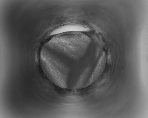 X0000089751206200707201915