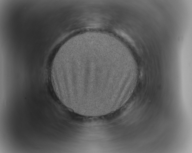 X0000089751208200707201915