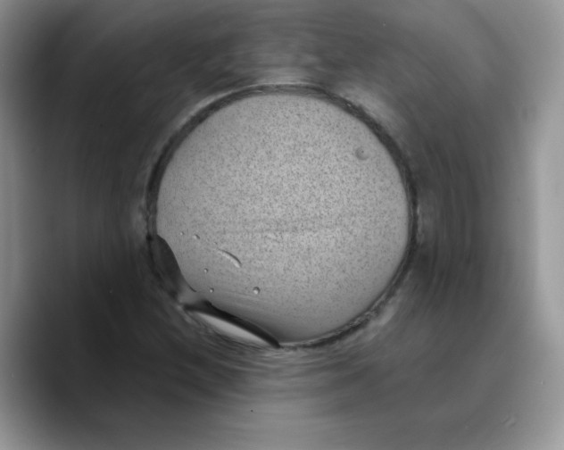 X0000089751212200707201915