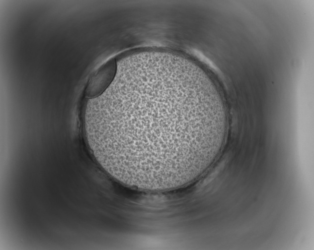 X0000089751215200707201915