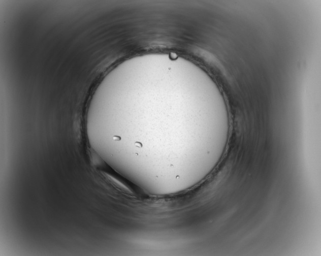 X0000089751217200707201915