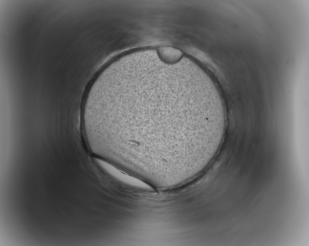 X0000089751220200707201915