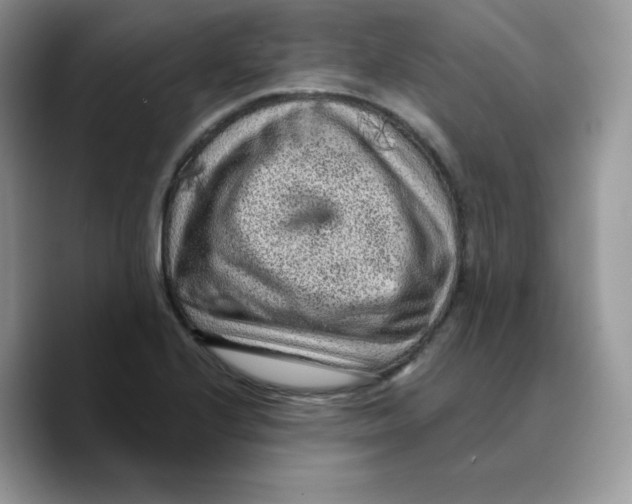 X0000089751224200707201915