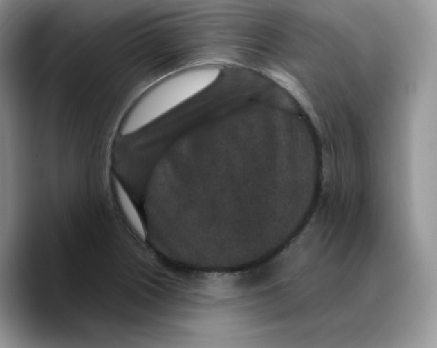 X0000089751226200707201915