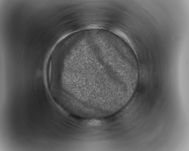 X0000089751235200707201915