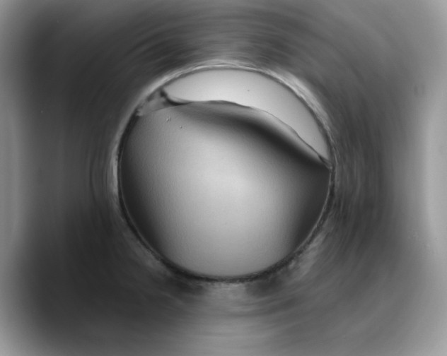 X0000089751238200707201915