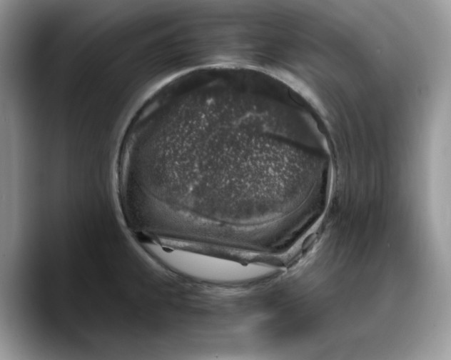 X0000089751239200707201915