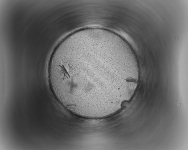 X0000089751240200707201915