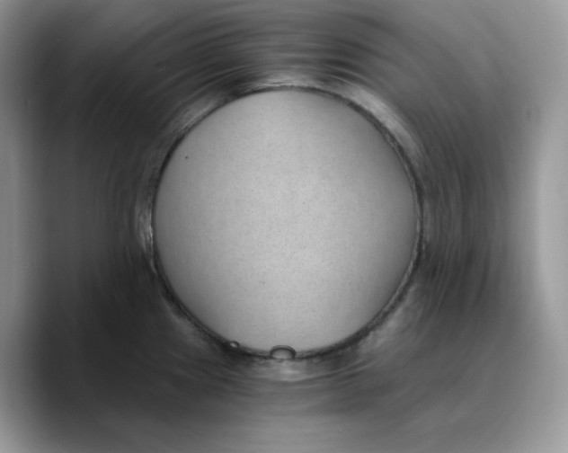 X0000089751241200707201915