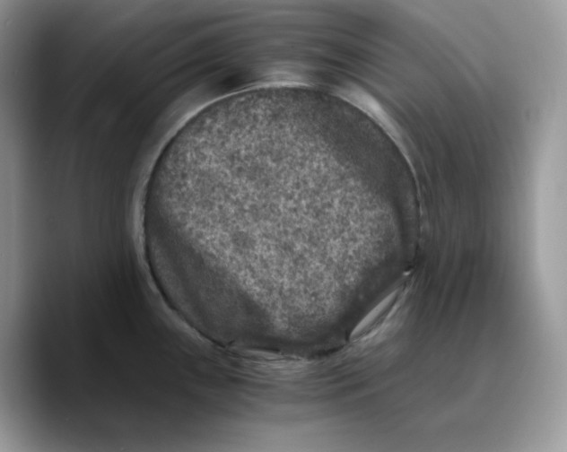 X0000089751243200707201916