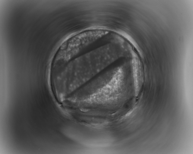 X0000089751245200707201916