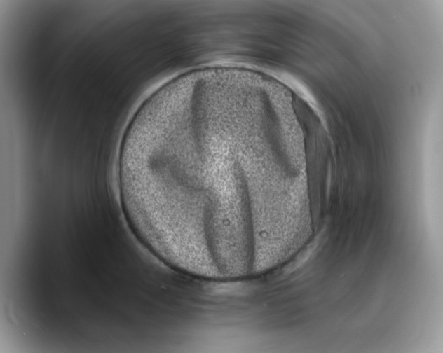 X0000089751247200707201916